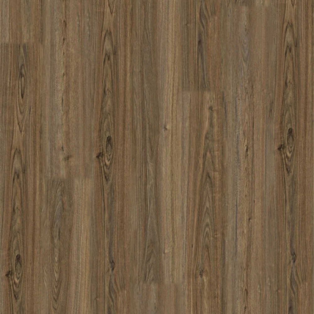 Quick48+ European Walnut - Image 2