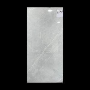 Giorgio Silver 24x48